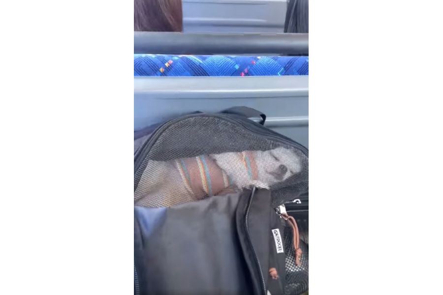バス車内でも熟睡をするうりちゃん【出典：スレッズ（_wooriii__）よりスクリーンショット】