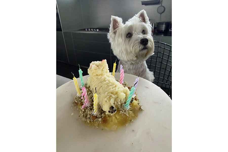 滝沢眞規子さんの愛犬と次女の手作りケーキ【出典：インスタグラム（makikotakizawa）よりスクリーンショット】