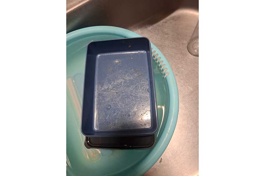 洗い桶にぷかぷかと浮かぶお弁当箱【写真提供：kk（kkoomafaiya）さん】
