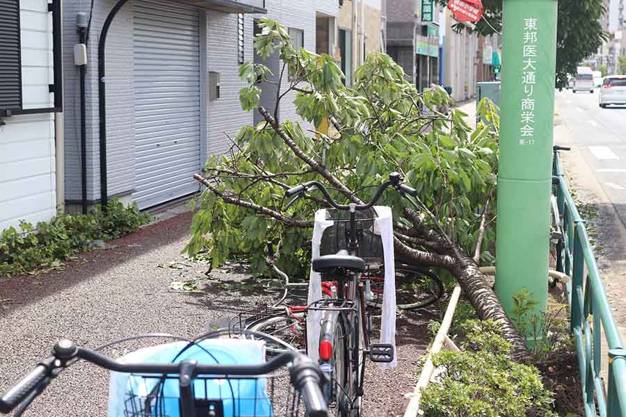 台風を人生で初めて体験（写真はイメージ）【写真：PIXTA】