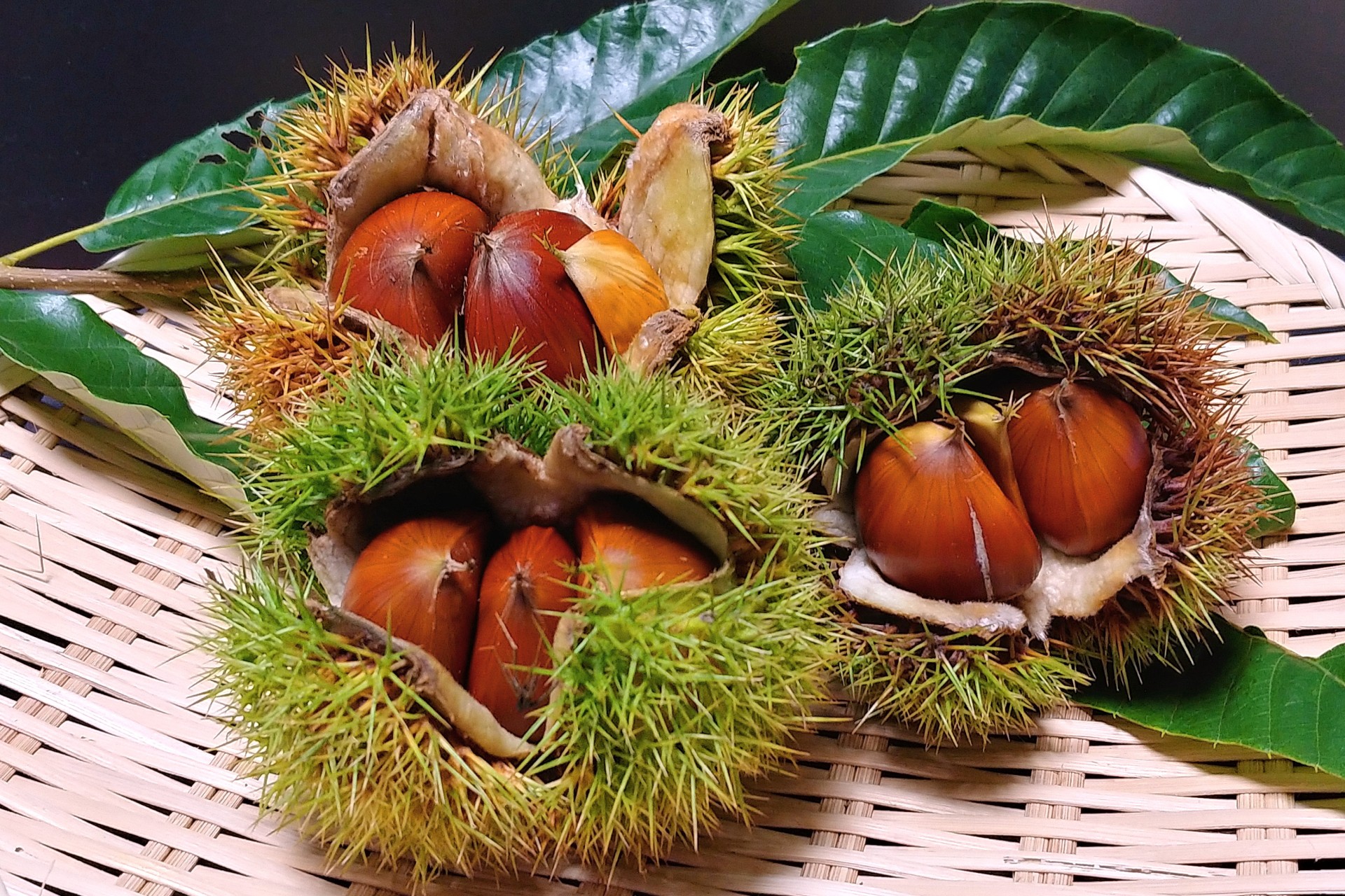食物繊維も豊富な栗【写真：写真AC】