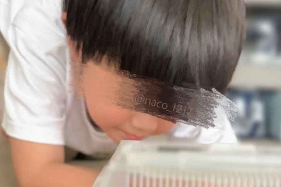 6歳の息子からの質問で、SOSカードを作成することに【写真提供：なこ（@naco_1217）さん】