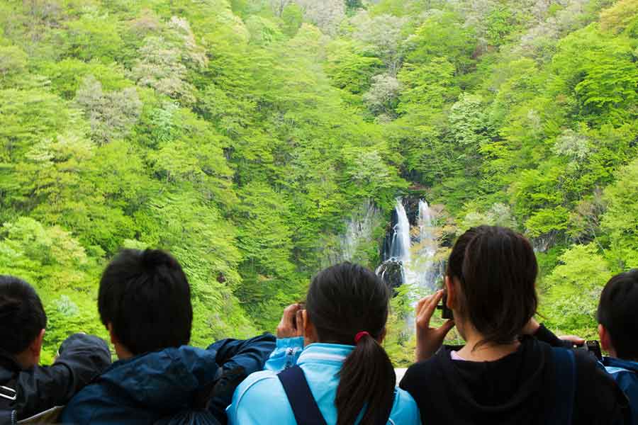 日光へ修学旅行に行った小6の息子。お土産に称賛（写真はイメージ）【写真：PIXTA】