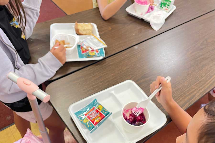 この日はパンが足りず、娘はブルーベリーヨーグルトとドライフルーツのみ…。子どもの多くがパンを食べ残して捨てていたので、憤りを感じた【写真：i-know】