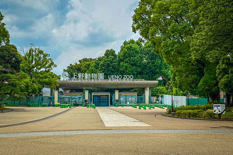 上野動物園の入園料が「600円」で驚愕（写真はイメージ）【写真：写真AC】