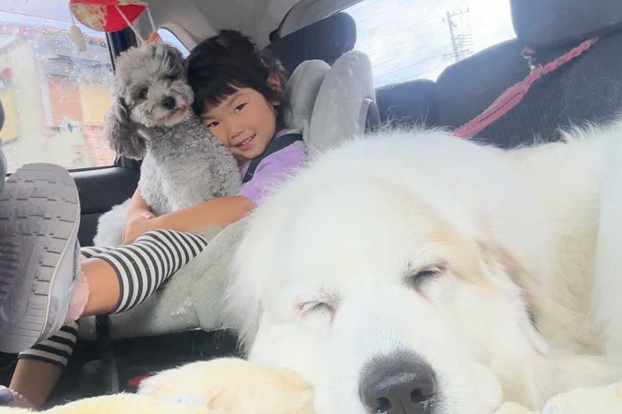 普段から仲良しな（手前から）シュシュちゃん、娘さん、ビビちゃん【写真提供：山の奥から（@yamanookukara）さん】