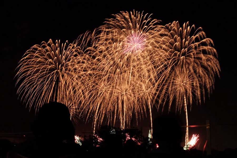 こうのす花火大会。夜空に降り注ぐような光が美しい【写真提供：ざわわ@埼玉県市町村巡り（@zawawa_saitama）さん】