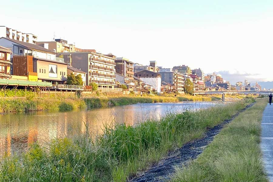 京都・鴨川でまさかの目撃【写真提供:投稿者】