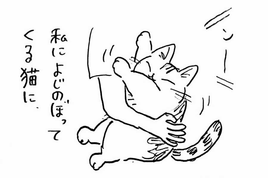 愛猫とのワンシーン【画像提供：世紀末（@se1k1ma2_）さん】