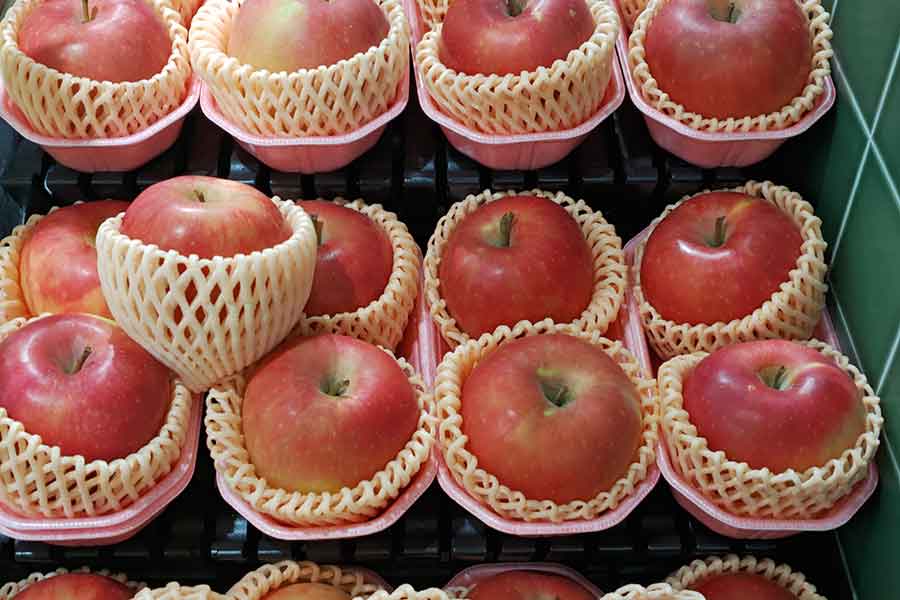 日本では、果物の値段が高いと感じている（写真はイメージ）【写真：写真AC】