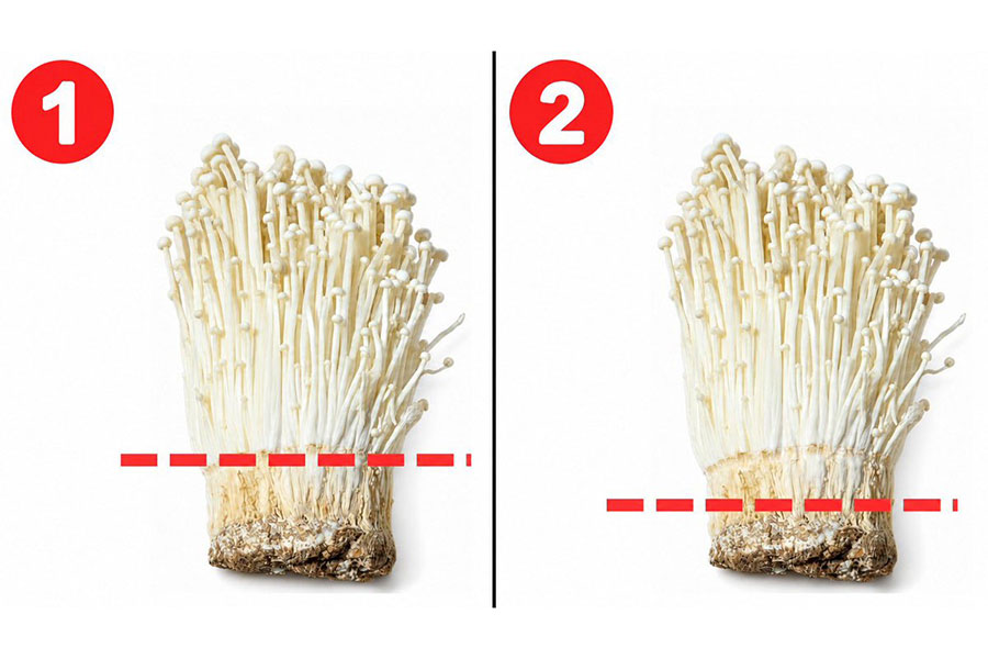 「2」の点線の位置でカットするのが正解【写真提供：青髪のテツ（@tetsublogorg）さん】