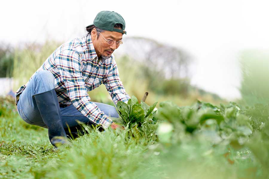 家庭菜園に夢中になった夫。収穫した野菜をめぐり、妻との間に思わぬすれ違いが（写真はイメージ）【写真：PIXTA】